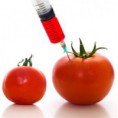 /album/fotogaleria/alimentos-transgenicos-jpg/